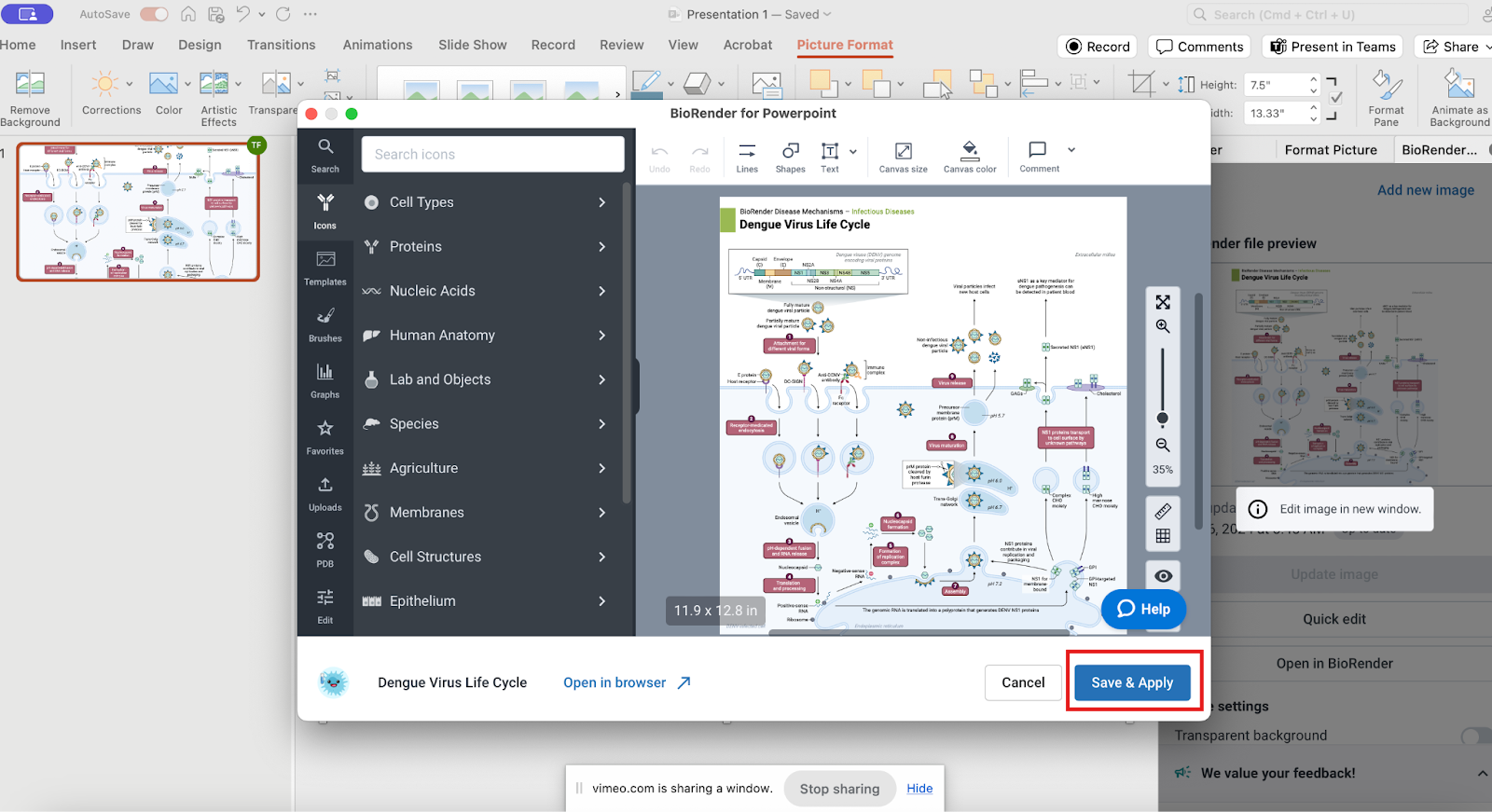 How to edit BioRender figures directly in PowerPoint BioRender Help