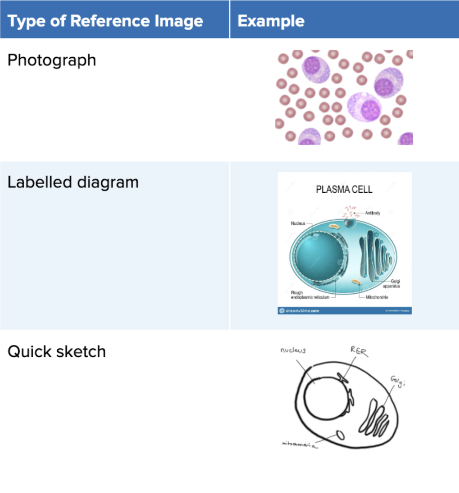 Screenshot 2025-10-20 at 10.24.09 AM.png