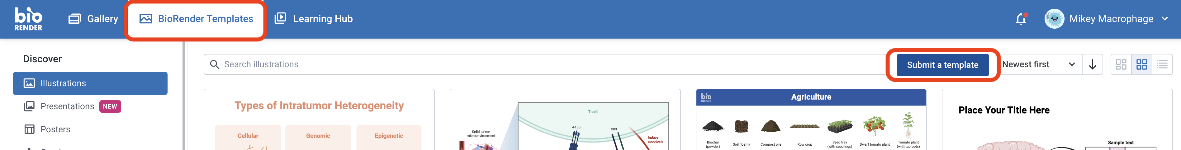 Screenshot 2025-09-17 at 3.07.43 PM.png