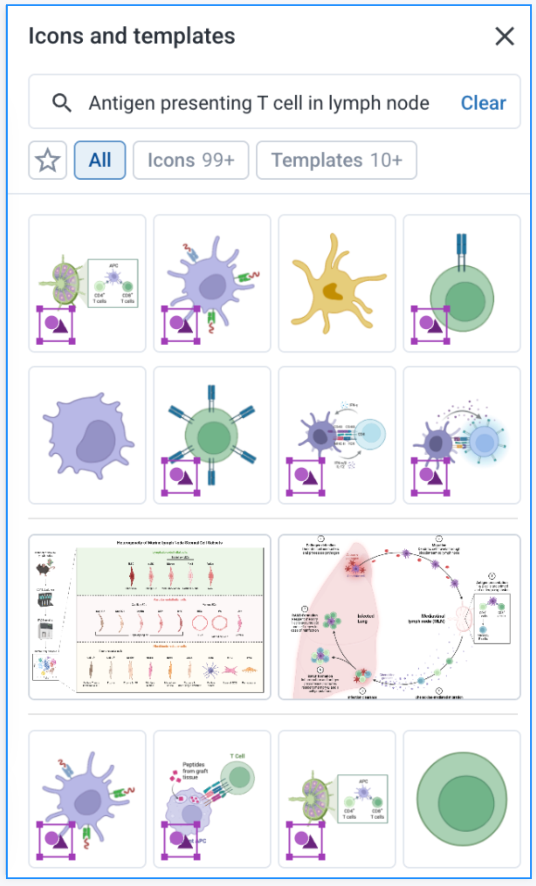 Search (3).png