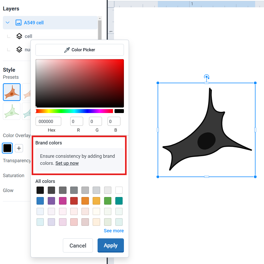 brand kits step 1'.png